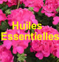 Bien choisir son huile essentielle