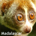 Histoires, anecdotes de Madagascar